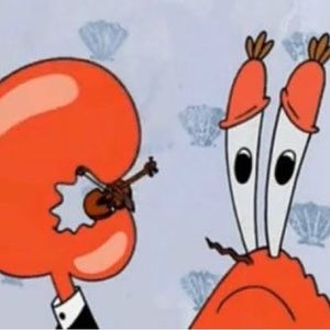 Meet your Posher, Ara